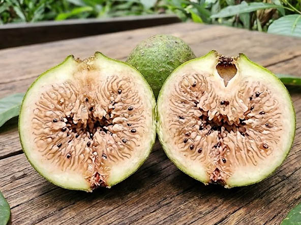 Datei:Philippinische Feige Frucht halbiert.jpg