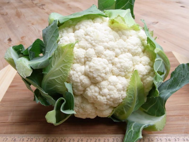 Datei:Blumenkohl.JPG