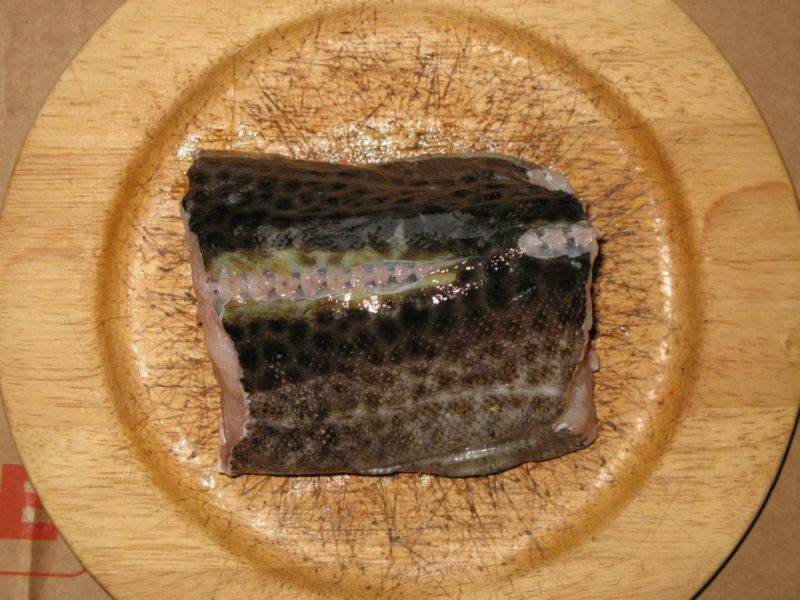 Datei:Kabeljau, Teilstueck.JPG