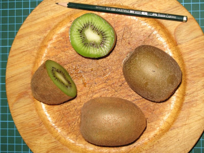 Datei:Kiwi.JPG
