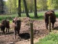 Vorschaubild der Version vom 16:39, 13. Aug. 2025