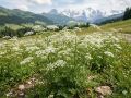 Vorschaubild der Version vom 20:47, 12. Mai 2026