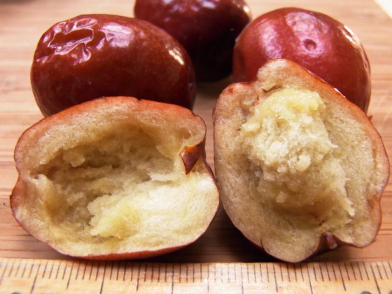 Datei:Jujube, Fruchtinneres.JPG