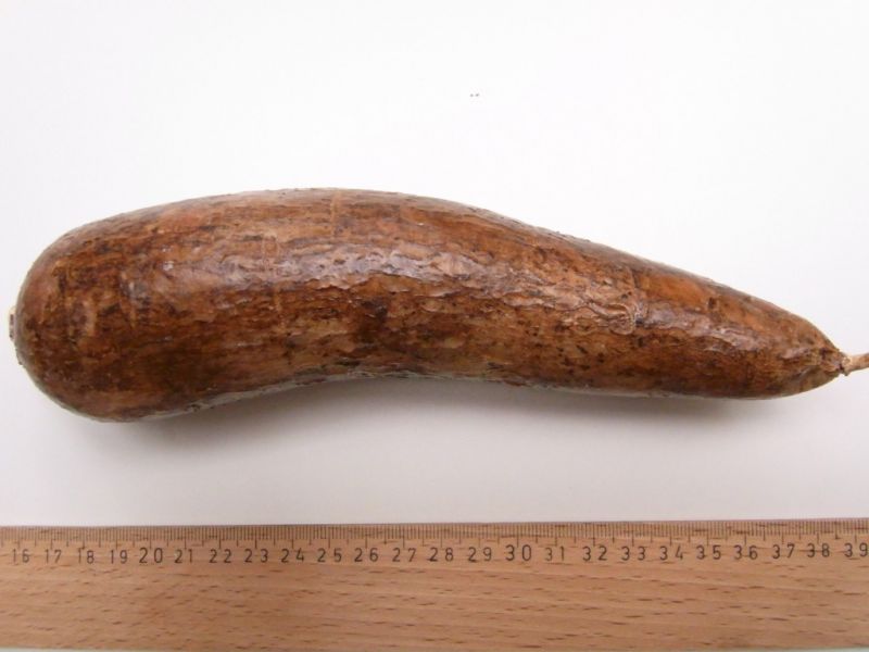 Datei:Maniok.JPG