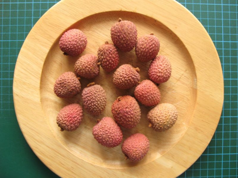 Datei:Litschi.JPG