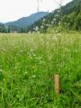 Vorschaubild der Version vom 17:29, 8. Jul. 2018
