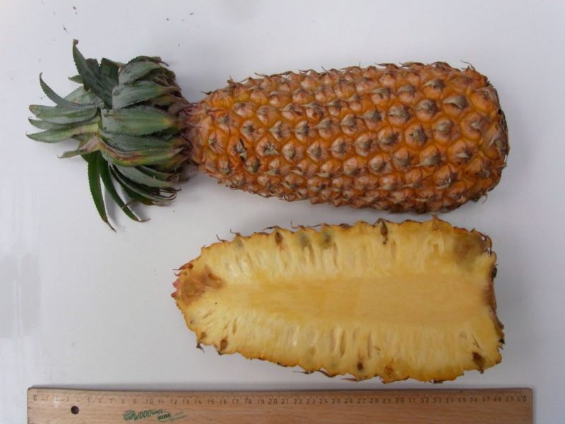 Datei:Ananas Mauritius.JPG