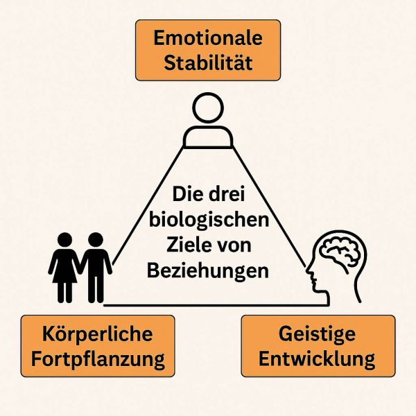 Datei:Beziehungstypen Dreieck.jpg