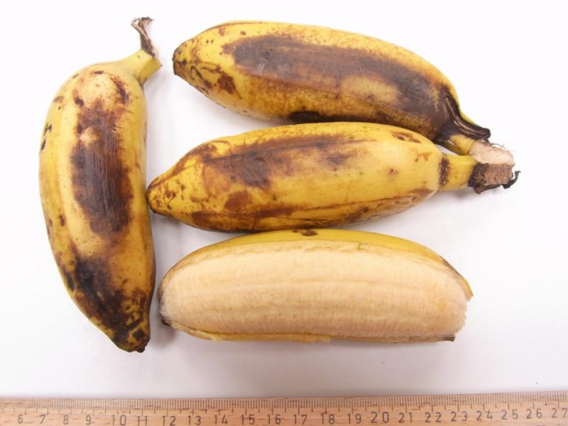 Datei:Banane Galan.JPG