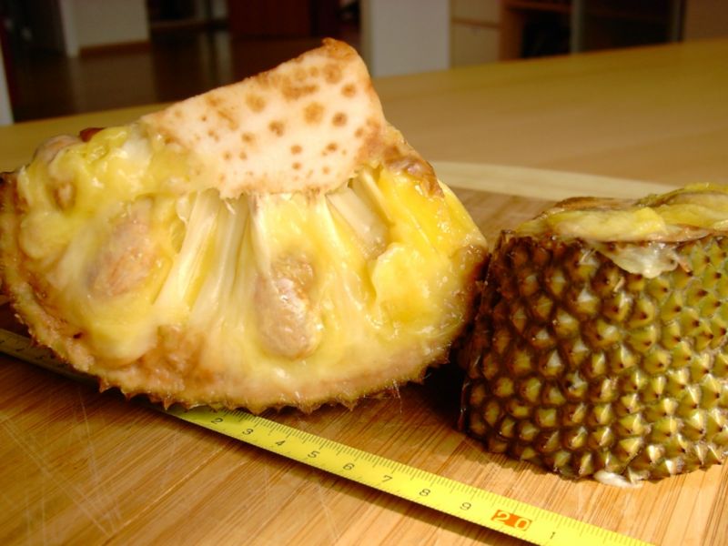 Datei:Jackfrucht Bubur.JPG