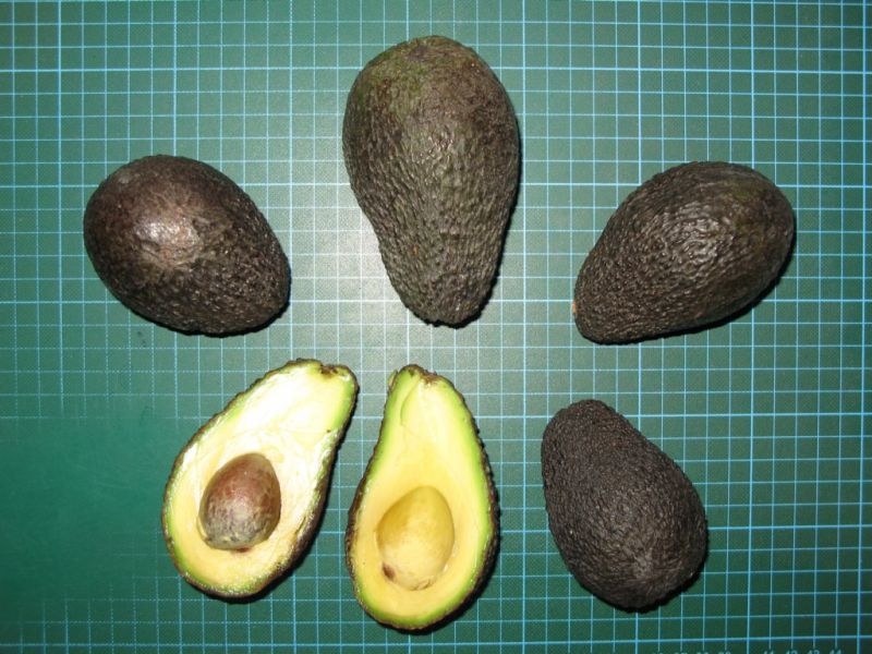 Datei:Avocados ganz und aufgeschnitten.JPG