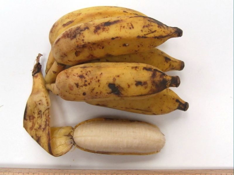 Datei:Banane Ambul.JPG