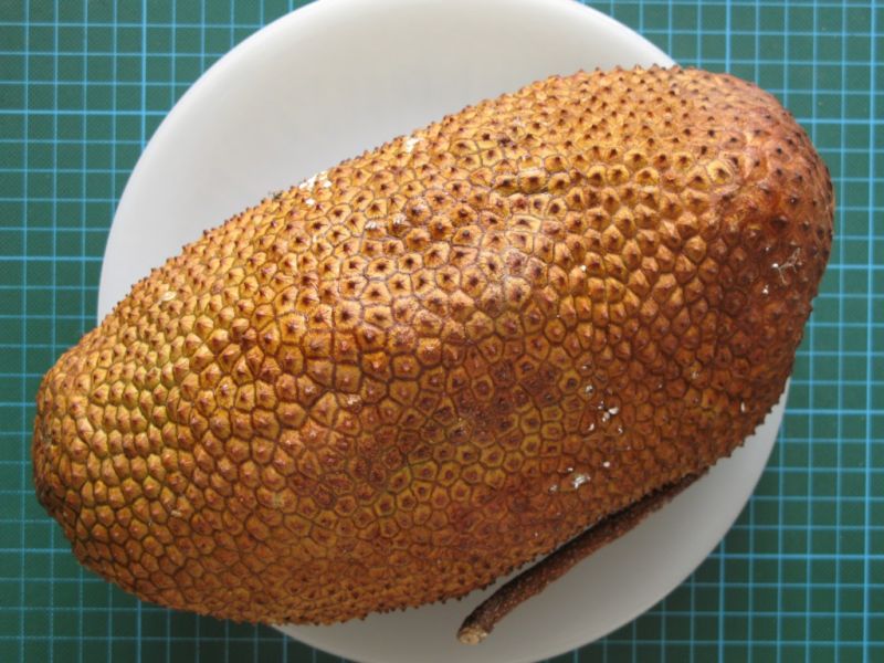 Datei:Cempedak.JPG