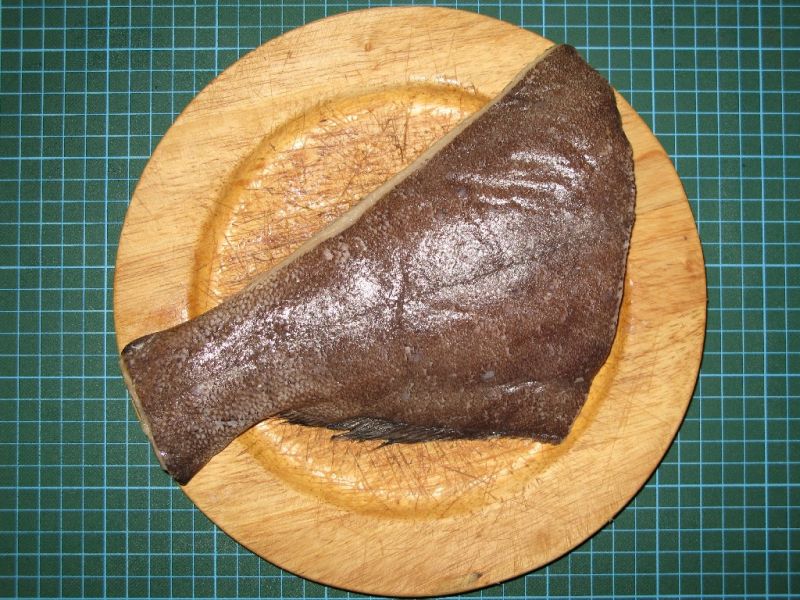 Datei:Schwarzer Heilbutt.JPG