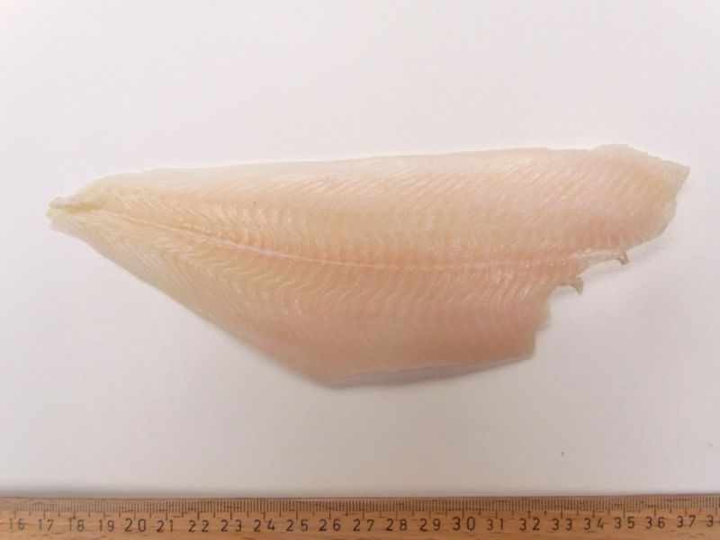 Datei:Rotzunge, Filet.JPG