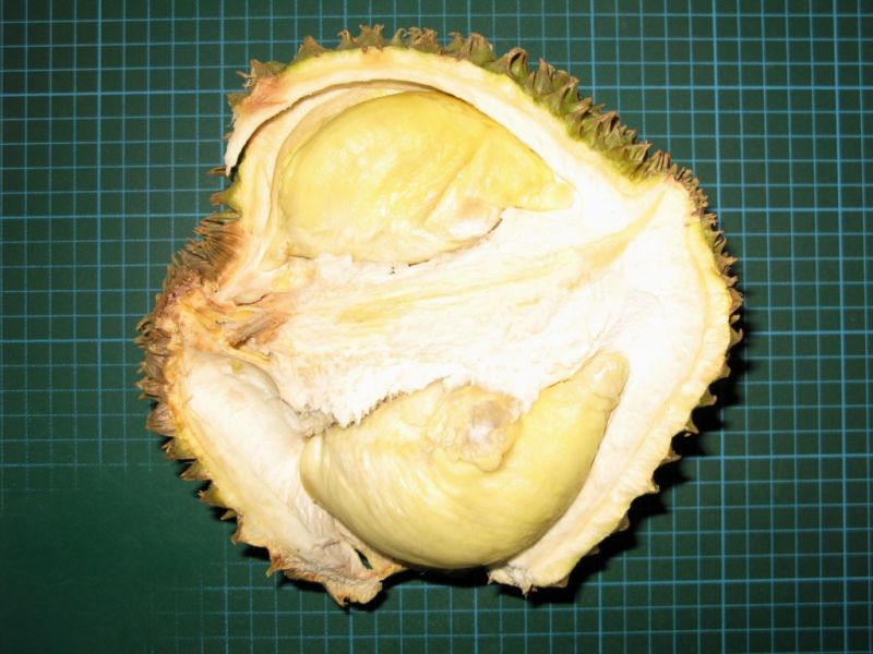 Datei:Durian Morn Thong geoeffnet.JPG