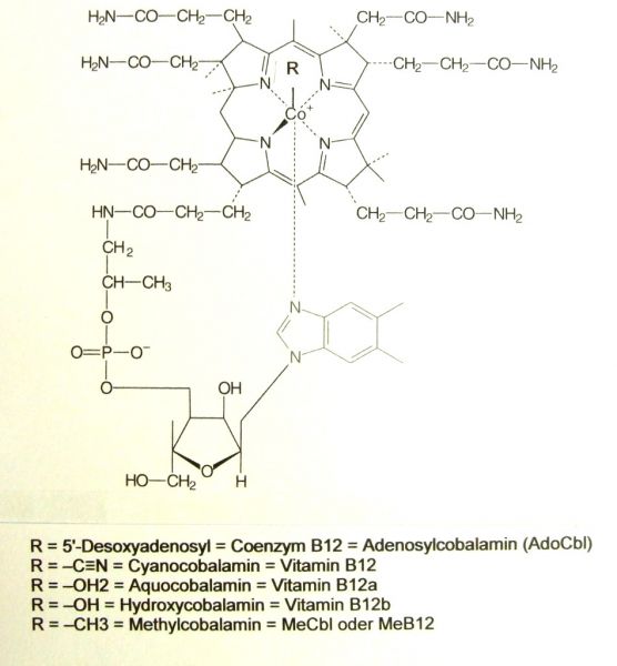 Datei:Vitamin B12, Strukturformel.JPG