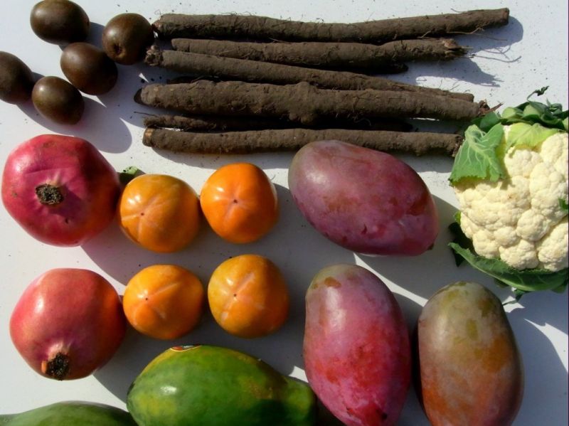 Datei:Auswahl Obst und Gemuese.JPG
