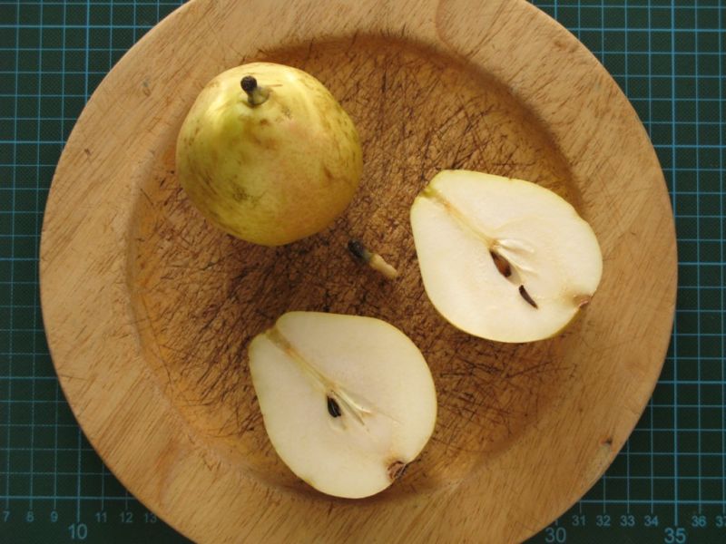 Datei:Birne Anjou.JPG