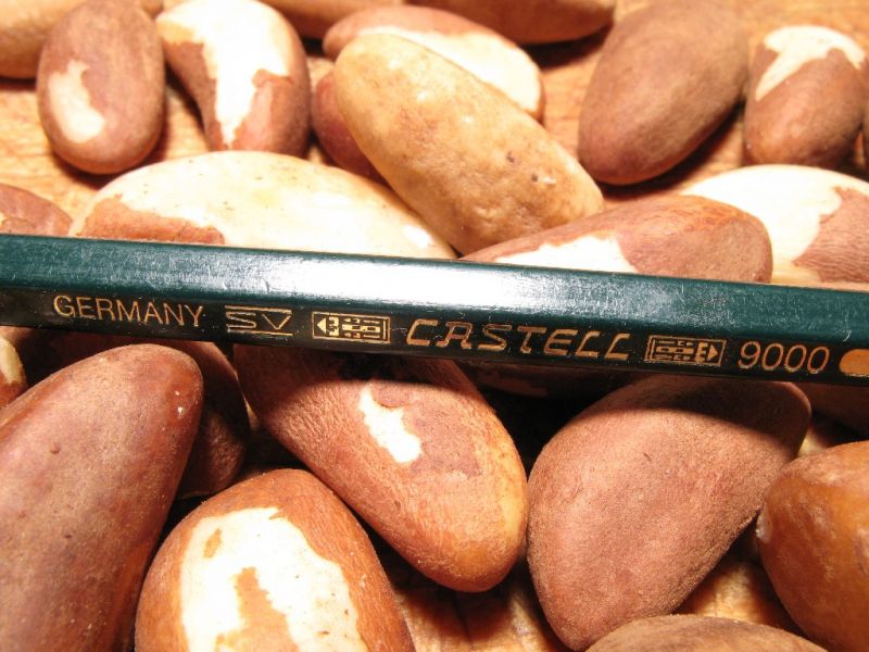 Datei:Paranuesse, geschaelt.JPG