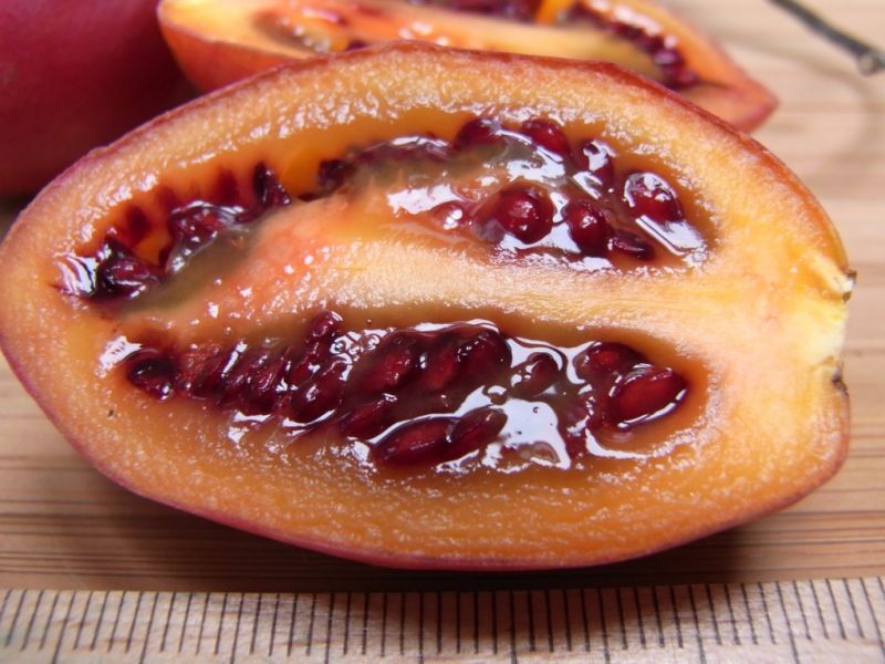 Datei:Tamarillo, halbiert.JPG