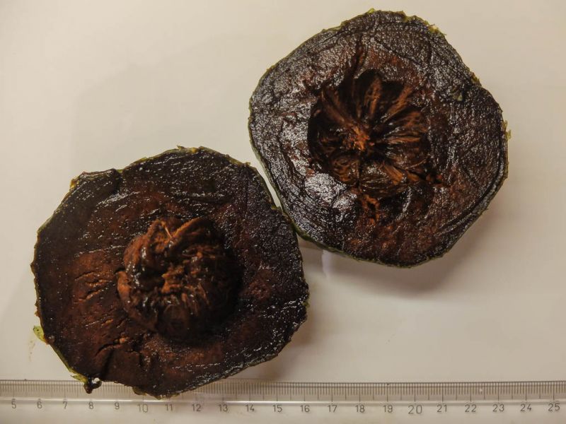 Datei:Sapote Negro, Fruchtfleisch.jpg