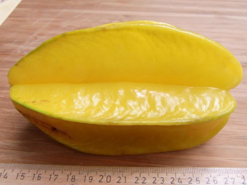 Datei:Sternfrucht.JPG