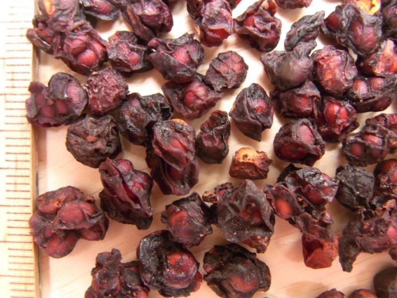 Datei:Schisandrabeeren getrocknet.JPG