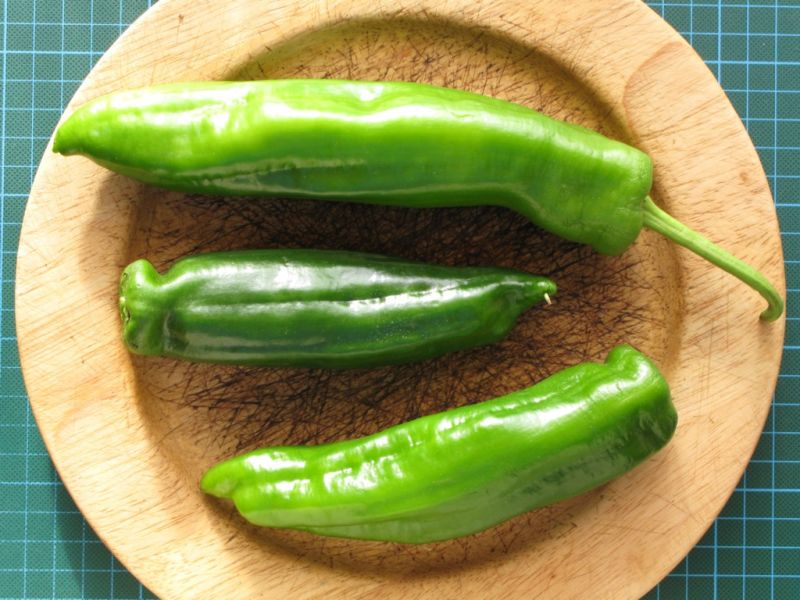 Datei:Paprika, gruen.JPG