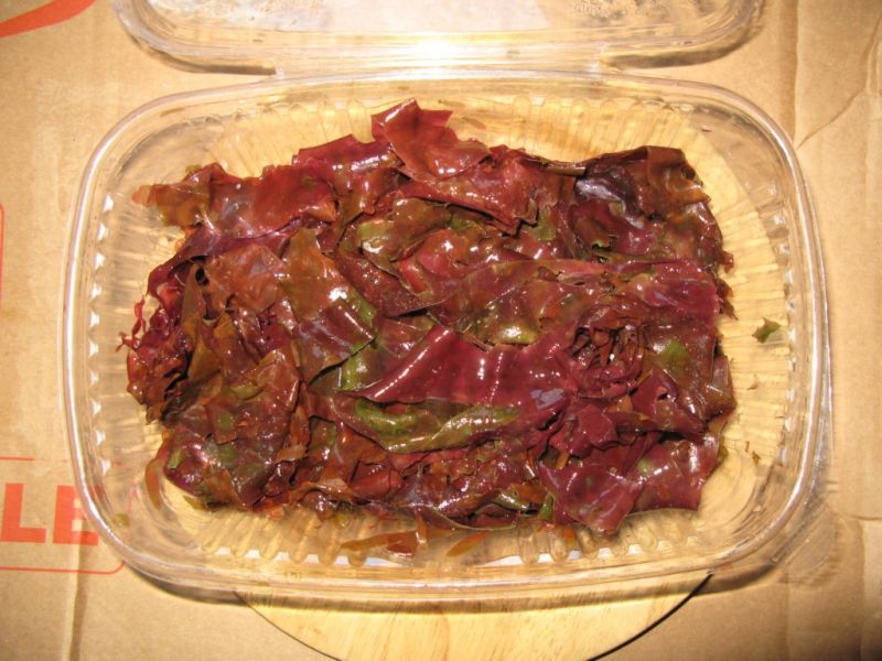 Datei:Lappentang.JPG