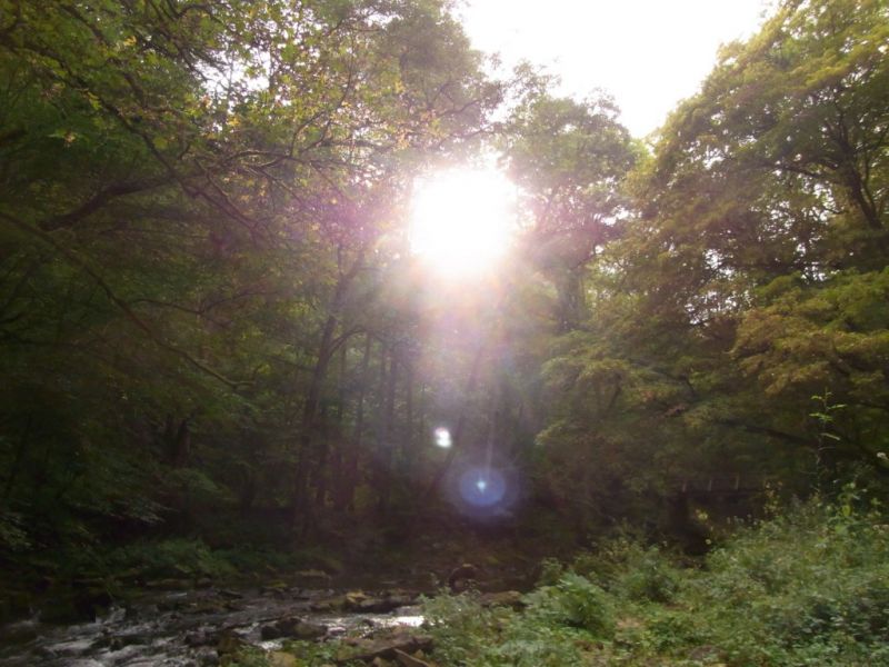 Datei:Sonnenlicht.JPG