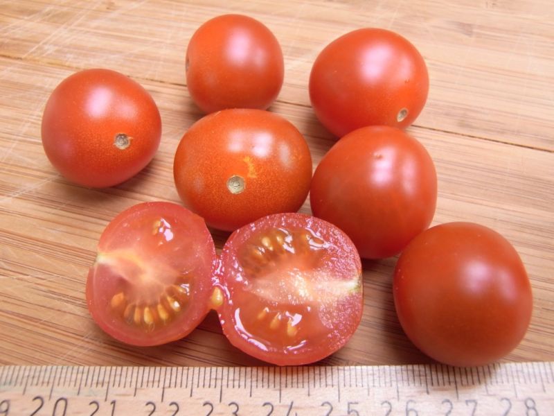 Datei:Kirschtomate.JPG