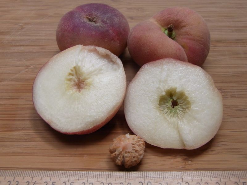 Datei:Plattpfirsich.JPG