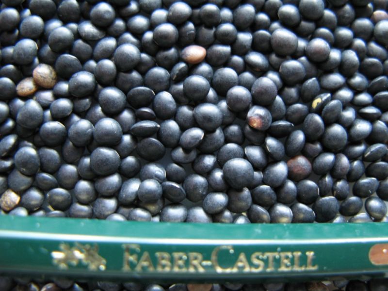 Datei:Linse, schwarz.JPG