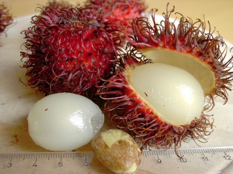 Datei:Rambutan, rot.JPG