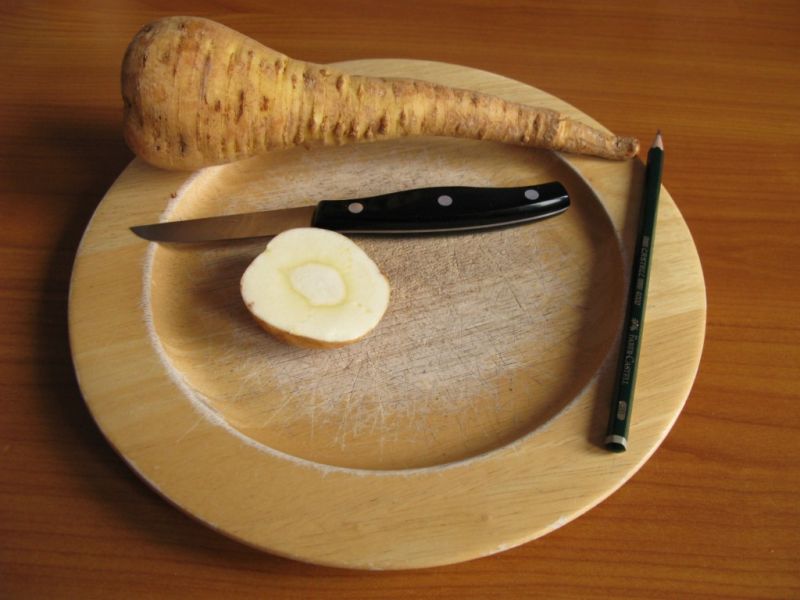 Datei:Pastinak, Wurzel.JPG